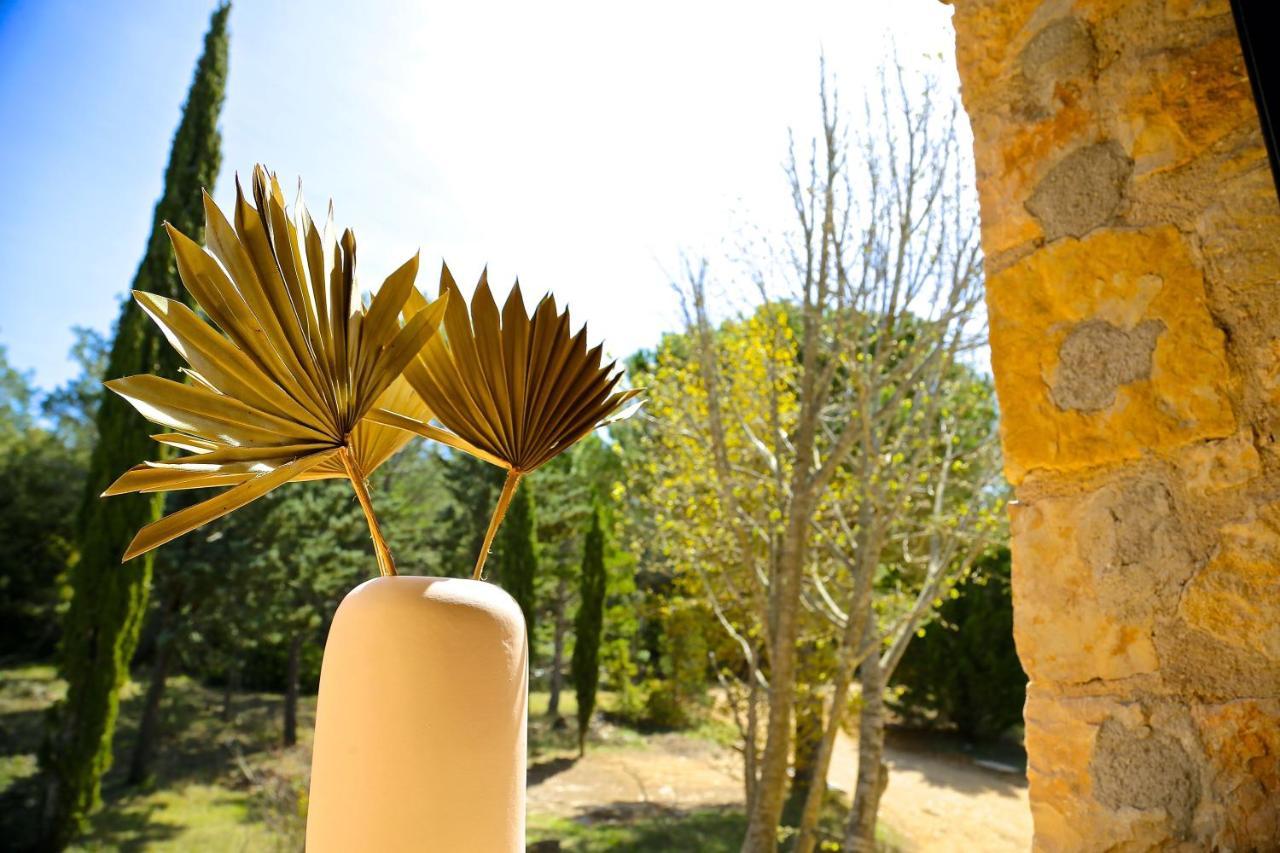 Отель Domaine De La Xavoliere Saint-Cezaire-sur-Siagne Экстерьер фото